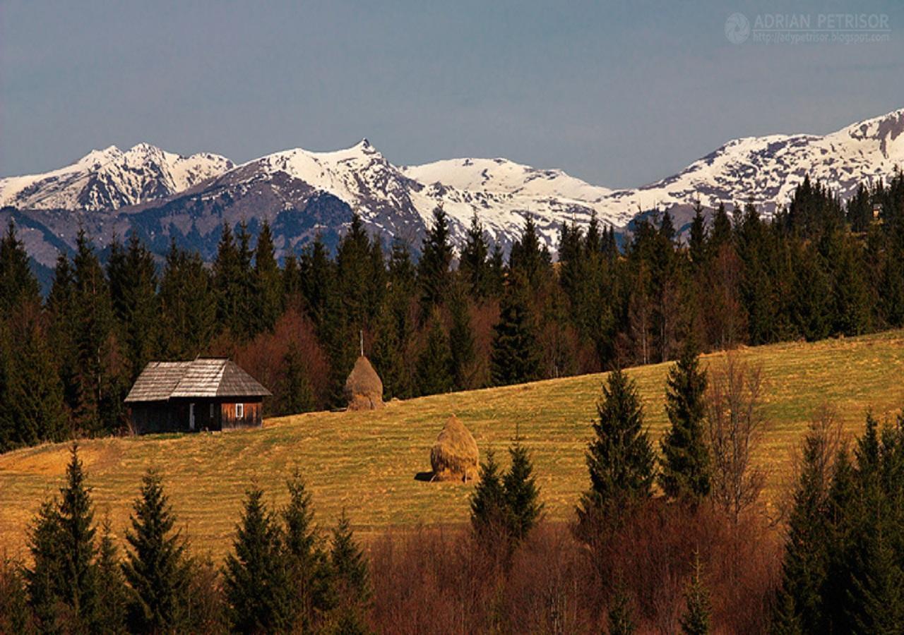 Popasul Transilvania ピアトラ・フントゥネレ エクステリア 写真