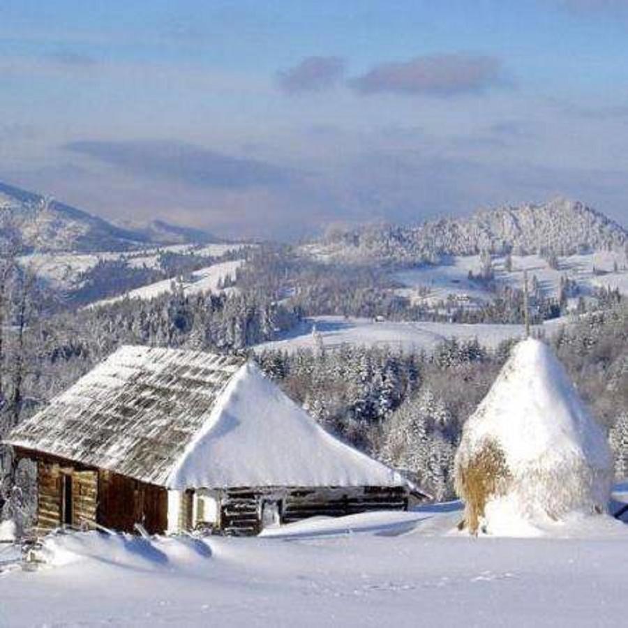 Popasul Transilvania ピアトラ・フントゥネレ エクステリア 写真